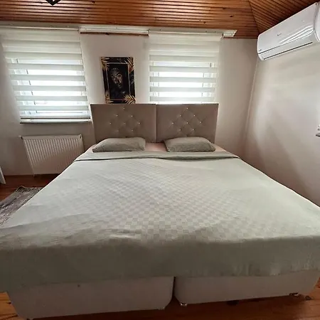 Apartament Goektuerk *