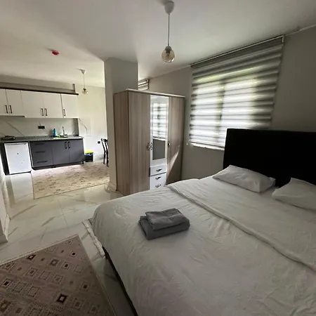 Apartment Goektuerk *